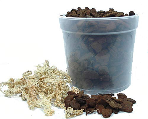 All in One, Everything Needed to Repot Your Orchid Large Bark 6' Pot