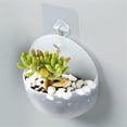 thumbnail image 3 of Multifunctional Wall-mounted  Vase Flower Pot Home Wall Decoration Ornaments, 3 of 9