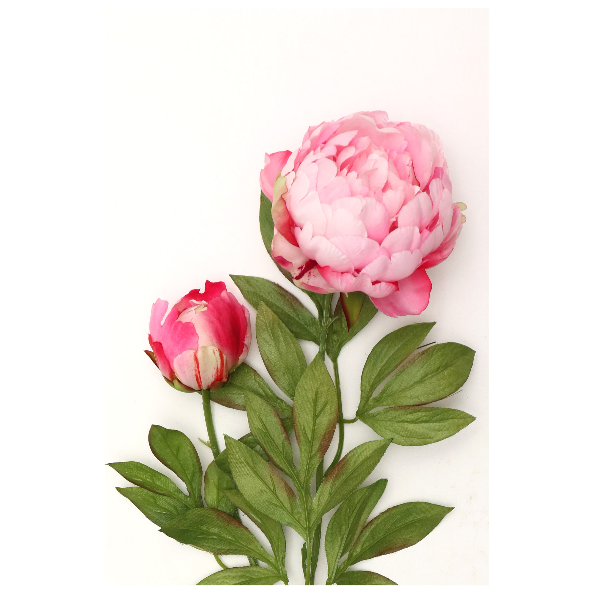 Mainstays 27" Tall Artificial Pink Peony Flower Indoor Stem - image 4 of 5