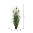 thumbnail image 3 of Vickerman 24" Artificial Potted Green Grass., 3 of 5
