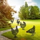 thumbnail image 2 of 5 piezas de gallina de jardín, arte de patio de pollo, decoración de suelo de césped y jardín, decoración de estatua de gallo hueco para patio, 2 of 5