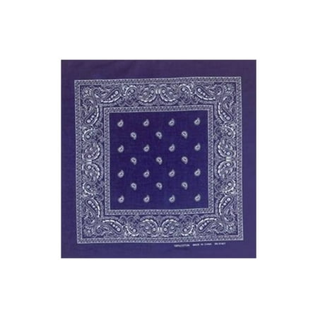 - Paisley Navy Bandana