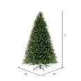 thumbnail image 3 of Vickerman 7.5' x 60" Tiffany Fraser Fir Artificial Christmas Tree with LED Color Changing Lights, 3 of 8