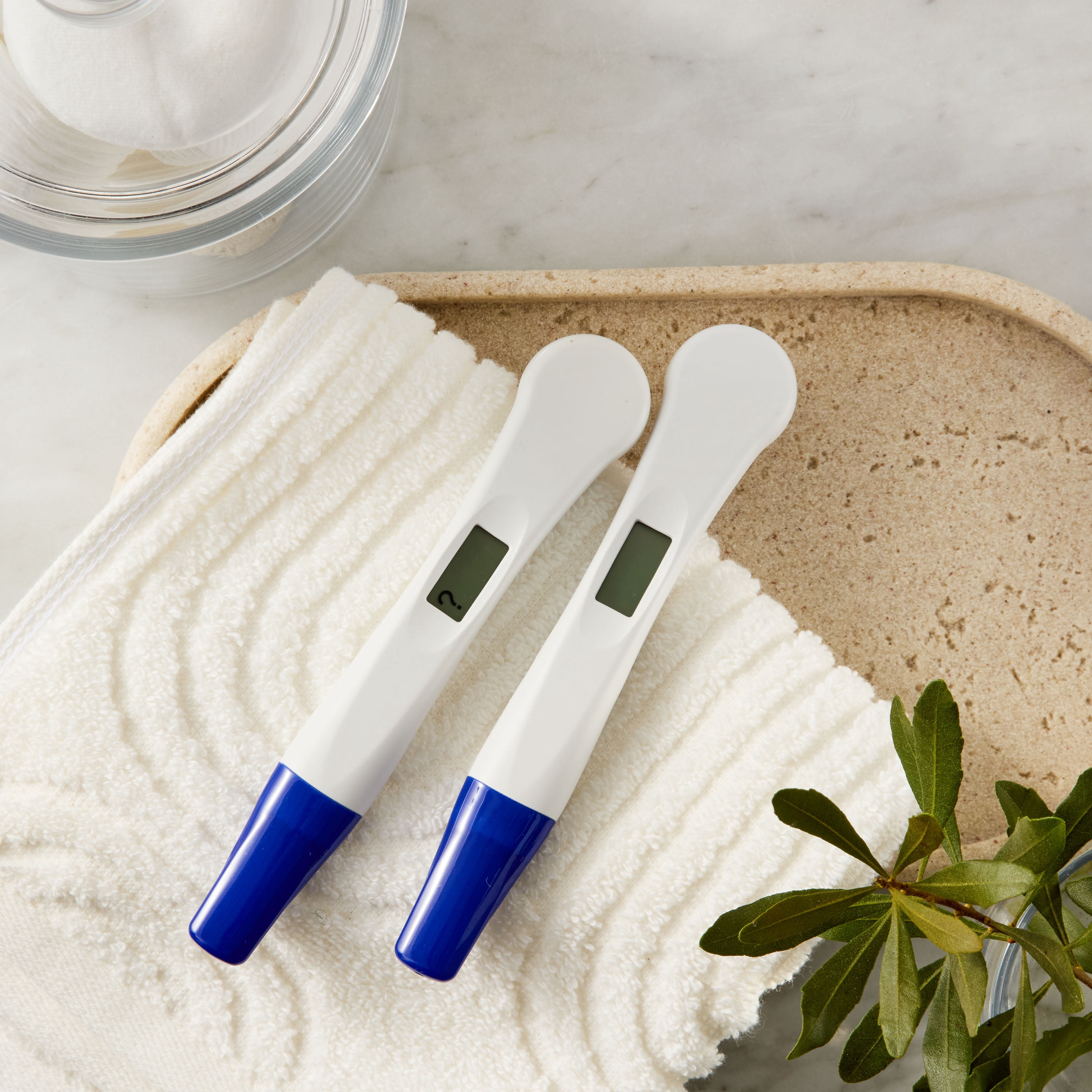 Equate Early Result Digital Pregnancy Test, 6 Days Sooner, 2 Count