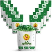 EMOJI HUG Greeting Card Greeting Cards with Organic Microgreens! Just Like A Post Card, Simply Mail & Recipient Gets to Grow & Eat | Cards for All Occasions | 10 PACK