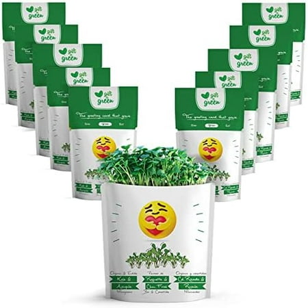 EMOJI HUG Greeting Card Greeting Cards with Organic Microgreens! Just Like A Post Card, Simply Mail & Recipient Gets to Grow & Eat | Cards for All Occasions | 10 PACK