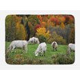 thumbnail image 1 of Farm Animal Bath Mat, Photo of Grazing Cows on Hill with Colorful Autumn Trees Agriculture Print, Plush Bathroom Decor Mat with Non Slip Backing, 29.5" X 17.5", Multicolor, by Ambesonne, 1 of 2