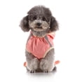 thumbnail image 5 of Chubasquero elegante para perros grandesYY26 pinkS, 5 of 5
