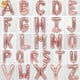 thumbnail image 4 of Globos con letras de la A a la Z, dorados y plateados, de 16 a 32 pulgadas, para sorpresas, fiestas de cumpleaños, decoración romántica para bodas, globos de papel de aluminio, 4 of 5