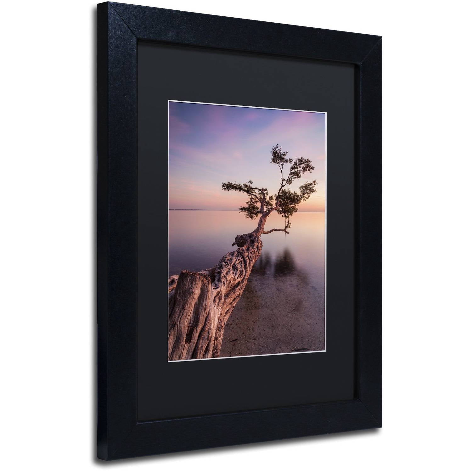 Moises Levy 'Water Tree IV' Black Matted Framed Art
