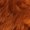 Rust, variant on Faux Fur Long Pile Shaggy 60"W Earthy Home Furnishing Textile by the yard (Rust)