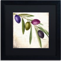 Trademark Fine Art "Olive Branch IV" Canvas Art by Color Bakery, Black Matte, Black Frame