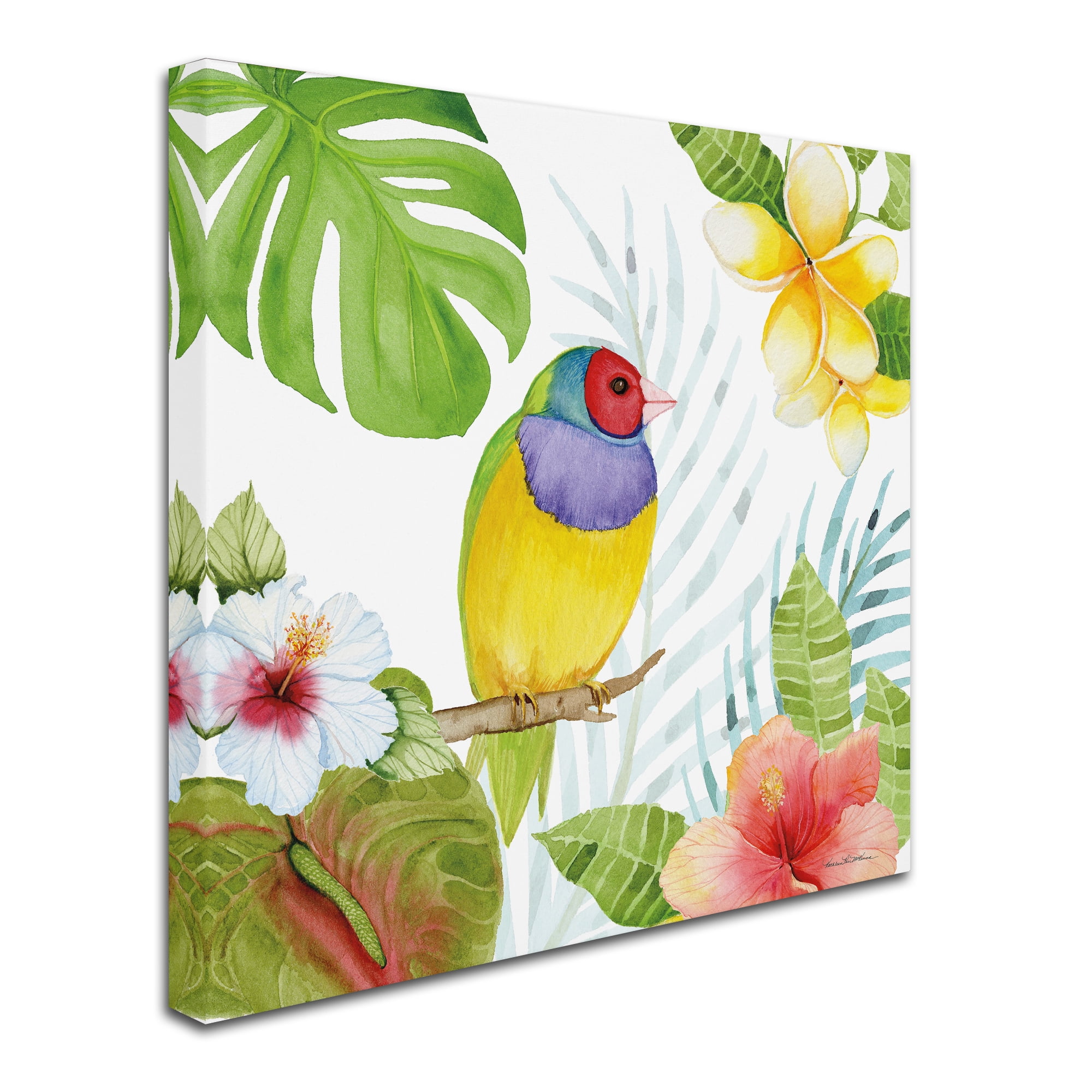 Trademark Fine Art 'Treasures of the Tropics V' Canvas Art by Kathleen Parr McKenna