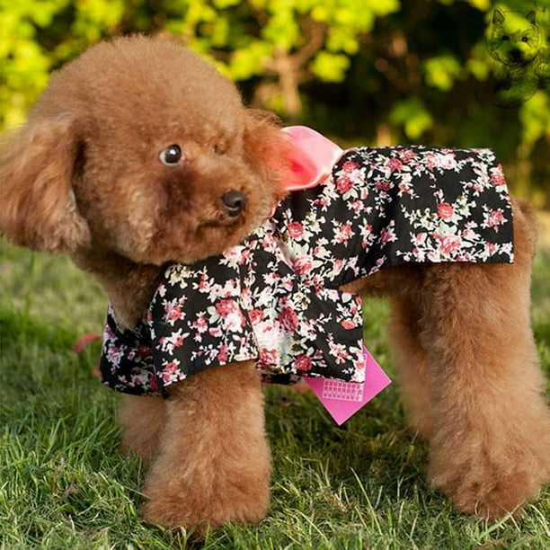 Dog kimono costume hotsell