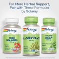 thumbnail image 6 of SOLARAY Bladderwrack Capsules 580 mg - Nutrient-Packed Seaweed Supplement, High in Iodine - Balanced Herbal Support - Vegan, Non-GMO, 60-Day Guarantee, Lab Verified - 100 Servings, 100 VegCaps, 6 of 6