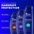 thumbnail image 4 of Head & Shoulders Clinical Strength Dandruff Shampoo Twin Pack, Advanced Oil Control with Refreshing Citrus, 13.5 Oz Each, 4 of 9