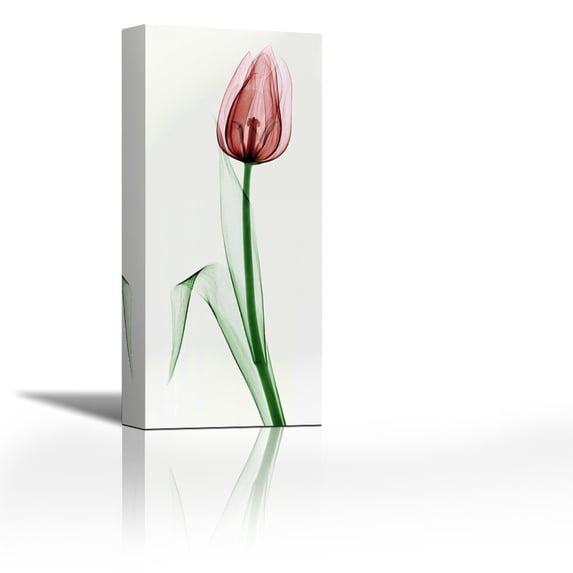 Tulip II - Contemporary Fine Art Giclee on Canvas Gallery Wrap - wall décor - Art painting - 11 x 27 Inch - Ready to Hang
