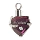 thumbnail image 1 of Urna de cremación de plata con colgante de corazón de cristal, mini recuerdo para cenizas, 1 of 9
