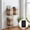 Gray, variant on Refrigerator Magnetic Storage Box Wall Mounted, Simulation Coffee Cup Shape Plastic Organizer Rack Holder for Kitchen and Desktop Metal Surfaces