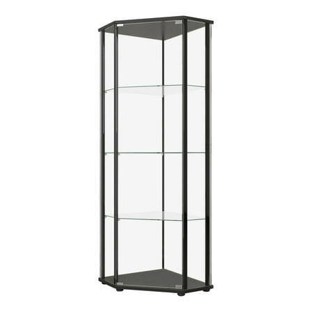 Metal Curio Cabinet with 1 Door and 3 Glass Shelves, Black