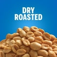 Planters Dry Roasted Peanuts, 3.25 lb Canister