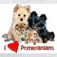 thumbnail image 3 of CafePress - Pomeranian Sweatshirt - Crew Neck Sweatshirt, 3 of 4