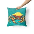 thumbnail image 2 of Carolines Treasures MW1322PW1414 Crab Tunnel Fabric Decorative Pillow  14Hx14W multicolor, 2 of 4