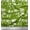 Forest Green, variant on Soimoi Blue Cotton Duck Fabric Monstera Leaves & Floral Printed Fabric 1 Yard 42 Inch Wide