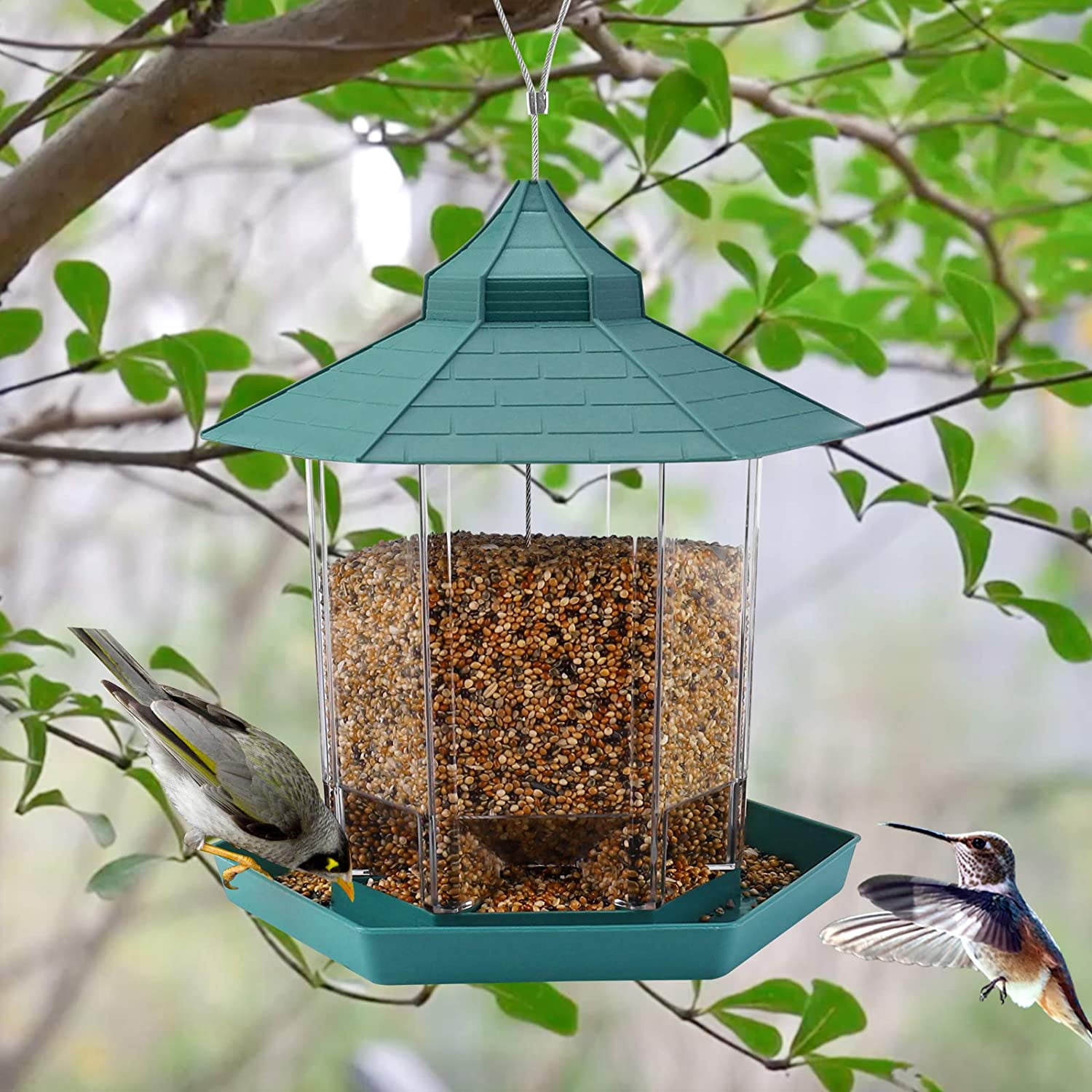 10 Inch Large Glass Bird Feeder for Garden Yard Patio Decor Hanging Bird Bath Bowl for Outdoors 