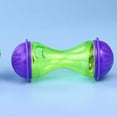 Bone Dog Toy Pet Tumbler Leaky Toy Food Toy Leaker Dog Toy Small Pet