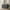 Black, variant on Linor 10 Drawer Dresser, 55" Modern White Dressers, Chest of Drawers, Wooden Wide Dresser for Bedroom, Living Room, White