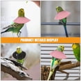 thumbnail image 2 of DEEPCRAFF 4pcs Parrot Collar Pet Bird Collar Korean Velvet Surgery Recovery, 2 of 8