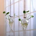 thumbnail image 4 of New Hanging Glass Flowers Plant Vase Bottle Terrarium Container Home Garden Decors, 4 of 4