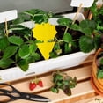 thumbnail image 5 of 80 Piezas Trampas Adhesivas, Trampa para Moscas de la Fruta y Mosquitos Trampas Adhesivas Amarillas para Insectos para Uso y Exteriores Atrapa Insectos para Moscas Blancas, 5 of 5