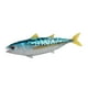thumbnail image 3 of Conjunto de modelos realistas CUTICAT Figuras de acción de peces Juguetes educativos, 3 of 8