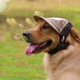 thumbnail image 5 of Outdoor Breathable Adjustable Mesh Hiking Dog Baseball Cap Summer Hat Sun Hat Pet Accessories BLUE M, 5 of 8
