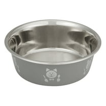 Neater Pets Stainless Steel Hungry Cat Bowl, Grey, 2 Cups