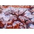 thumbnail image 2 of Xu, Mei 32x23 Black Ornate Wood Framed with Double Matting Museum Art Print Titled - A Tree In The Desert, 2 of 4