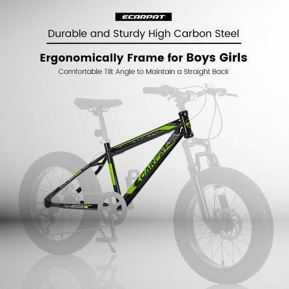RAISTYW 20" Fat Tire Mountain Bike, 7-Speeds High Carbon Steel Frame Mountain Bicycle MTB Bike with Disc Brakes for Adults Men Women, Green and Black