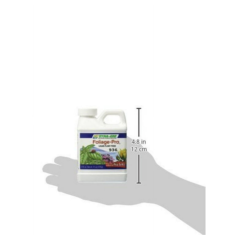 olivenbaum knorrig winterhart Olivenbaum knorriger Bonsai 100 Jahre – toskanagartenshop main image 0