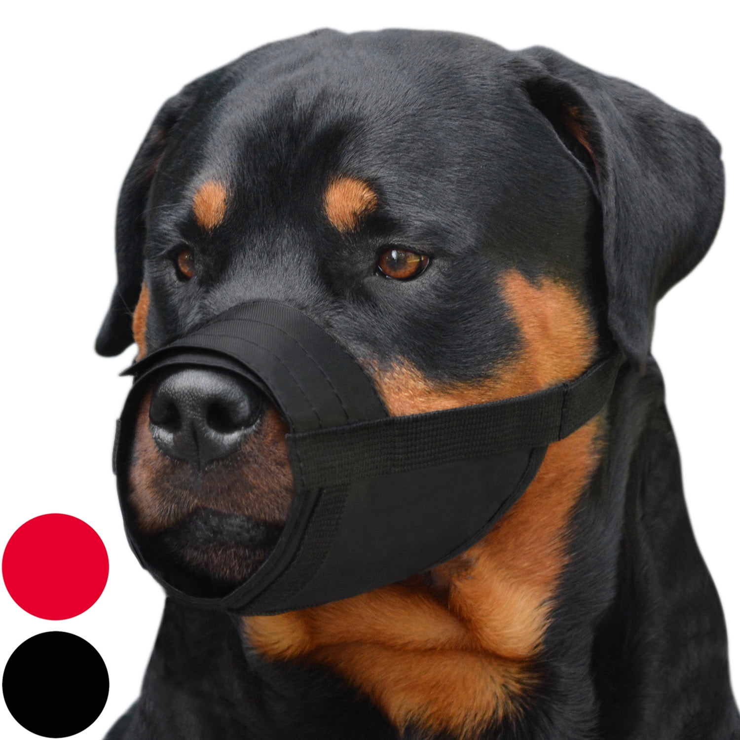 small dog muzzle walmart