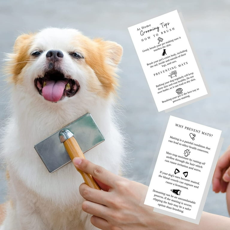 Home Dog Grooming Tips Boutique Marketing At Home Grooming