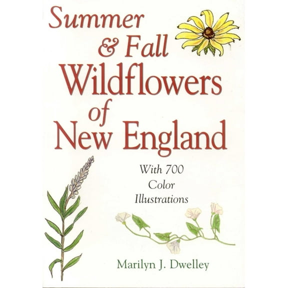 Summer & Fall Wildflowers of New England, (Paperback)