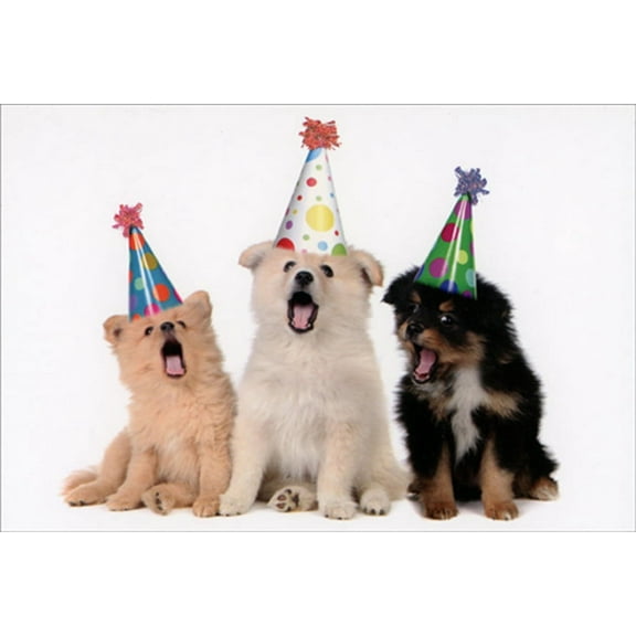 Pictura Three Puppies Wearing Party Hats Cute Birthday Card for Friend