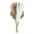 thumbnail image 4 of Hojas s Pampas s de hierba Decoraciones Hojas Decoraciones para bodas Hogar Decoraciones Juego J Macarena Hierba de pampa seca, 4 of 8