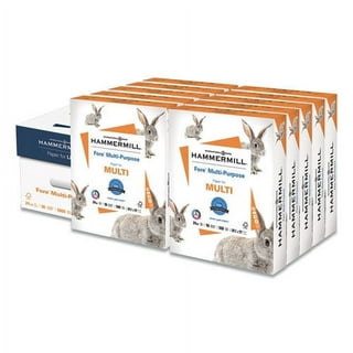 White Regular Copy Paper, 8 1/2 x 11, 3 Hole Punched, 500 Papers Per Pack.
