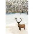thumbnail image 3 of Stellar Design Studio 17x24 Black Modern Framed Museum Art Print Titled - Grand Elk II, 3 of 5