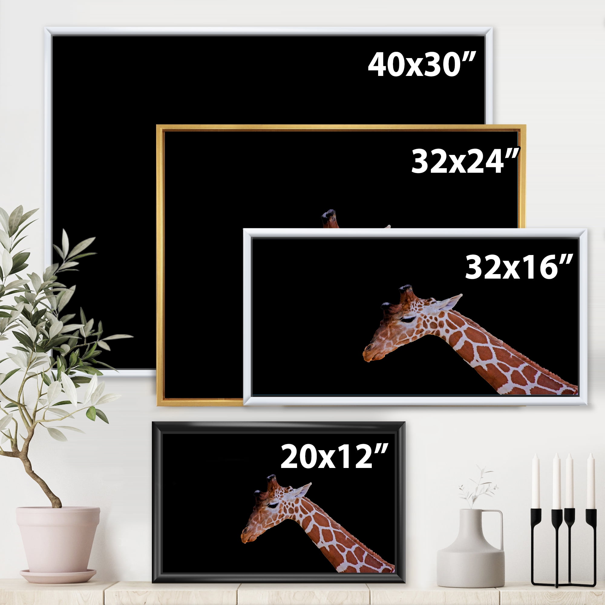 Designart 'Portrait of A Giraffe On Black Background I' Farmhouse Framed Canvas Wall Art Print