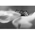 thumbnail image 2 of Or, Keren 18x13 White Modern Wood Framed Museum Art Print Titled - Untitled, 2 of 4