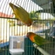 thumbnail image 4 of 1 juego de comedero automático para pájaros, transparente, para periquitos, contenedor de comida, accesorios de jaula con cuchara., 4 of 8